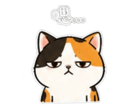 840896518