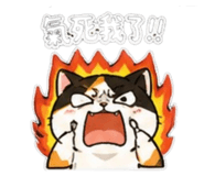 840896519