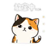 840896535