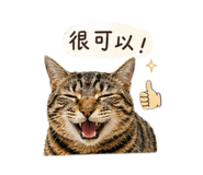 840897207