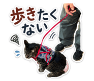 840897215