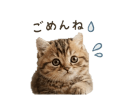 840897815