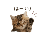 840897816