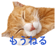 840898009