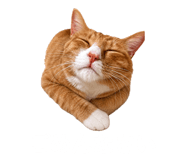 840898018