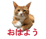 840898019