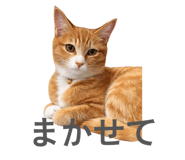 840898020