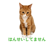 840898021