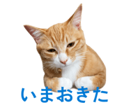 840898022