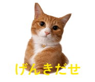 840898024