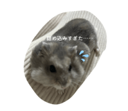 840899124