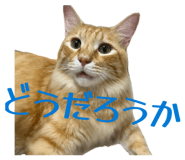 840899287