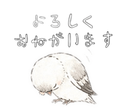 840899581