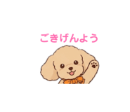 840900935