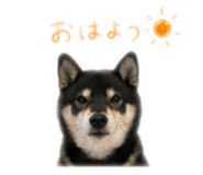 840901777