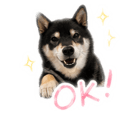 840901782