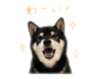 840901787