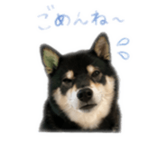 840901788