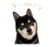 840901789