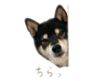 840901794