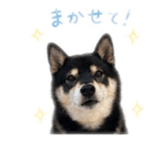 840901796