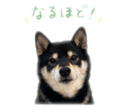 840901797