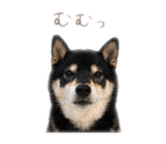 840901801