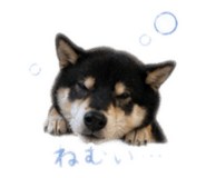 840901802