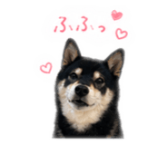 840901806