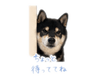 840901810