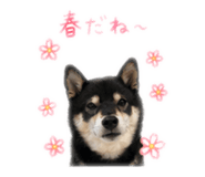 840901815