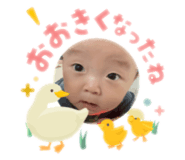 840902016
