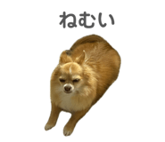 840902194