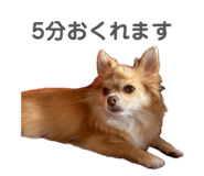 840902195