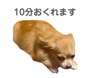 840902196