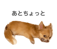 840902198