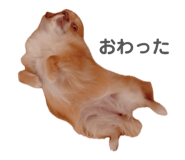 840902199