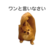 840902205