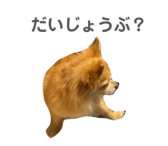 840902207