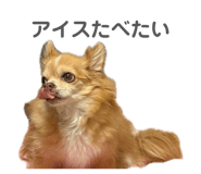 840902211