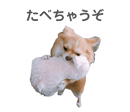 840902212