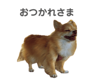 840902218