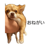 840902222