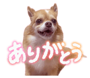 840902224