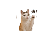 840903822