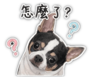 840905097