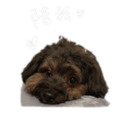 840905226