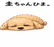 840905495