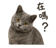 840905989