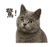 840906001